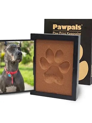 Pawpals paw print - large