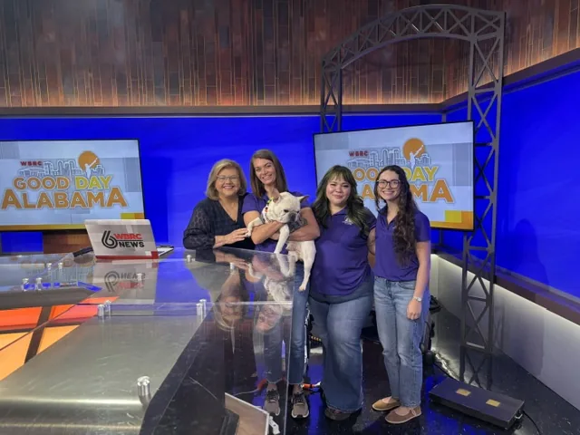Compassionate Crossings team members with Morty at the Good Day Alabama desk on WBRC FOX 6